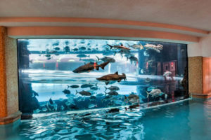 Piscina con tiburones las vegas