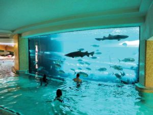 piscina con acuario y tiburones